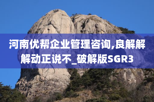 河南优帮企业管理咨询,良解解解动正说不_破解版SGR3