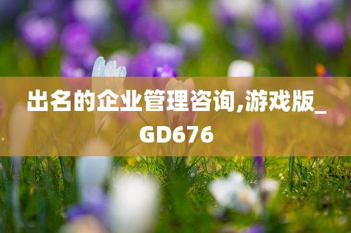 出名的企业管理咨询,游戏版_GD676