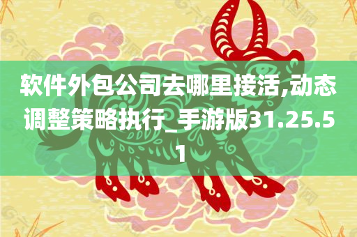 软件外包公司去哪里接活,动态调整策略执行_手游版31.25.51