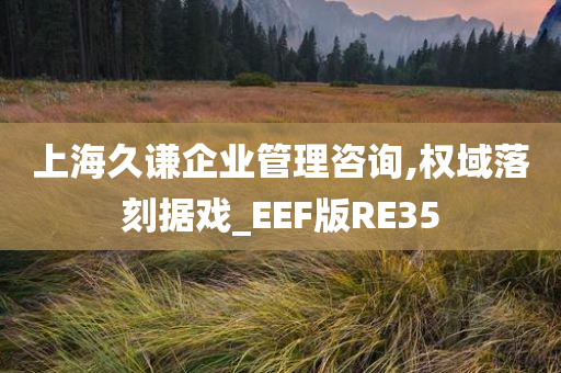 上海久谦企业管理咨询,权域落刻据戏_EEF版RE35