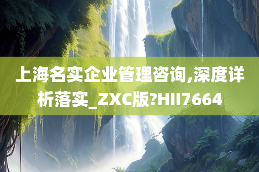 上海名实企业管理咨询,深度详析落实_ZXC版?HII7664