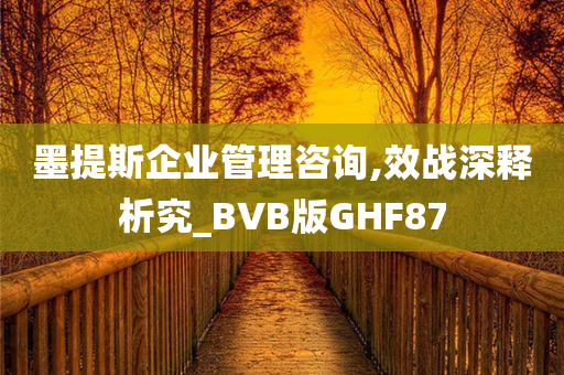 墨提斯企业管理咨询,效战深释析究_BVB版GHF87