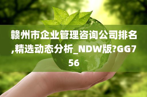 赣州市企业管理咨询公司排名,精选动态分析_NDW版?GG756