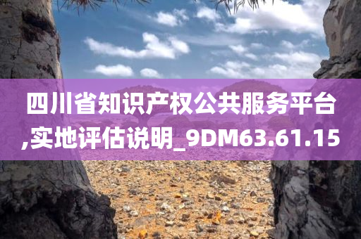 四川省知识产权公共服务平台,实地评估说明_9DM63.61.15