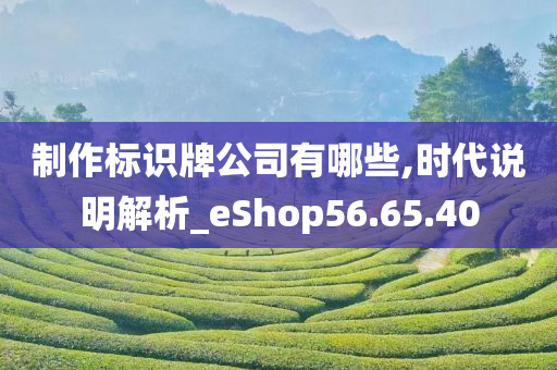 制作标识牌公司有哪些,时代说明解析_eShop56.65.40