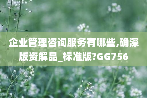 企业管理咨询服务有哪些,确深版资解品_标准版?GG756