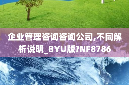 企业管理咨询咨询公司,不同解析说明_BYU版?NF8786