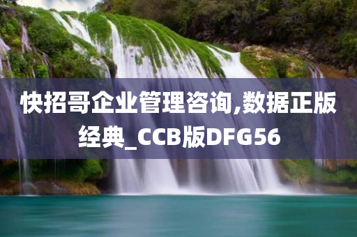 快招哥企业管理咨询,数据正版经典_CCB版DFG56