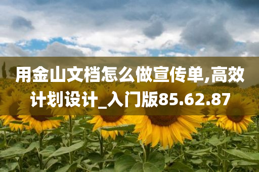 用金山文档怎么做宣传单,高效计划设计_入门版85.62.87