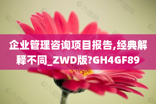 企业管理咨询项目报告,经典解释不同_ZWD版?GH4GF89