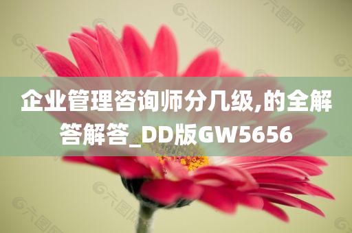 企业管理咨询师分几级,的全解答解答_DD版GW5656