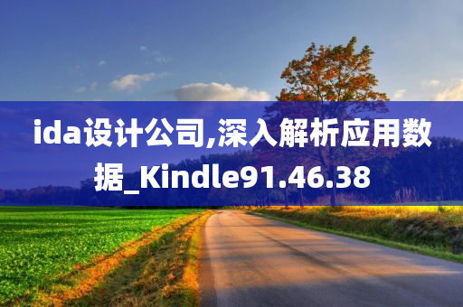 ida设计公司,深入解析应用数据_Kindle91.46.38