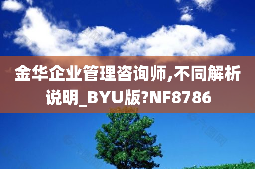 金华企业管理咨询师,不同解析说明_BYU版?NF8786