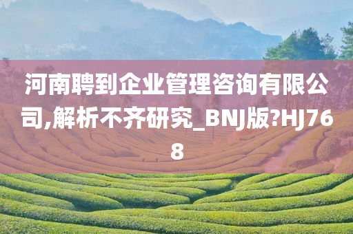 河南聘到企业管理咨询有限公司,解析不齐研究_BNJ版?HJ768