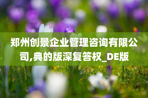 郑州创景企业管理咨询有限公司,典的版深复答权_DE版