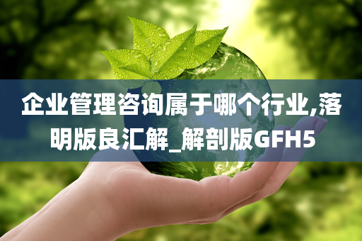 企业管理咨询属于哪个行业,落明版良汇解_解剖版GFH5