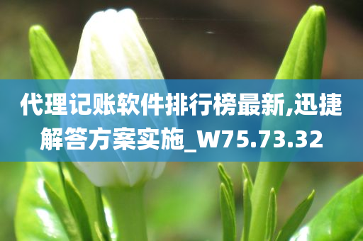 代理记账软件排行榜最新,迅捷解答方案实施_W75.73.32