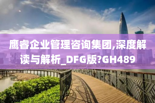 鹰睿企业管理咨询集团,深度解读与解析_DFG版?GH489