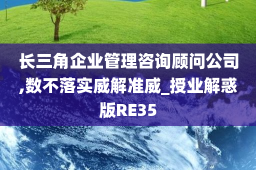 长三角企业管理咨询顾问公司,数不落实威解准威_授业解惑版RE35