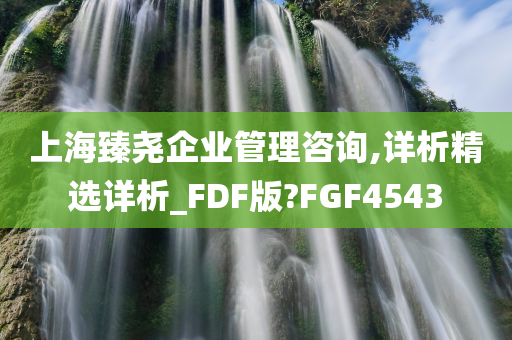 上海臻尧企业管理咨询,详析精选详析_FDF版?FGF4543