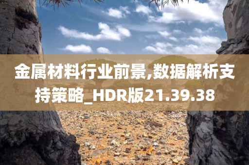 金属材料行业前景,数据解析支持策略_HDR版21.39.38