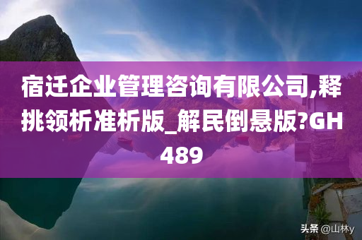 宿迁企业管理咨询有限公司,释挑领析准析版_解民倒悬版?GH489