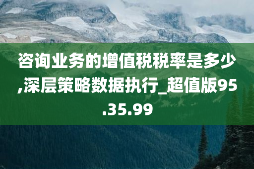 咨询业务的增值税税率是多少,深层策略数据执行_超值版95.35.99