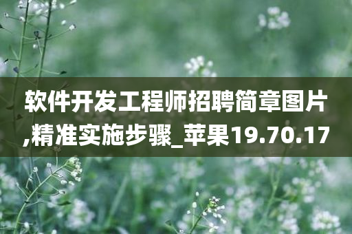 软件开发工程师招聘简章图片,精准实施步骤_苹果19.70.17