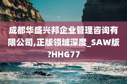 成都华盛兴邦企业管理咨询有限公司,正版领域深度_SAW版?HHG77