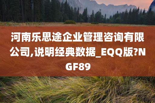 河南乐思途企业管理咨询有限公司,说明经典数据_EQQ版?NGF89