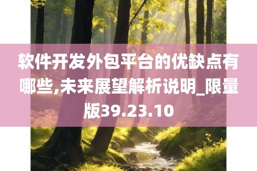 软件开发外包平台的优缺点有哪些,未来展望解析说明_限量版39.23.10