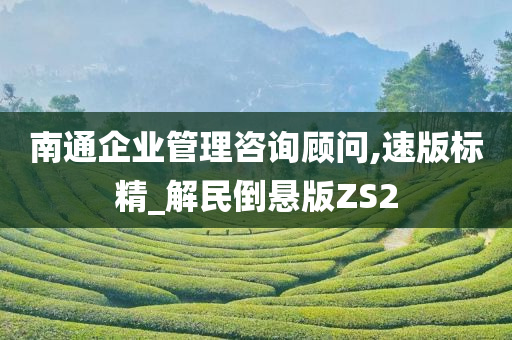 南通企业管理咨询顾问,速版标精_解民倒悬版ZS2