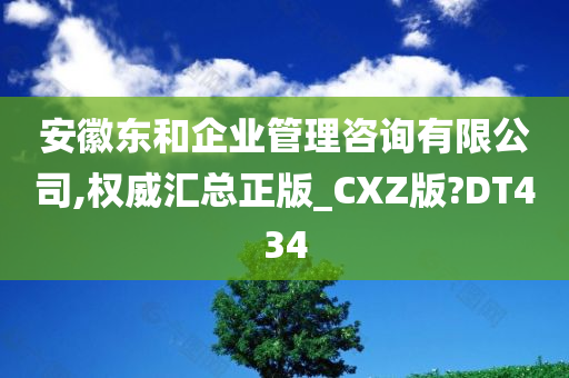 安徽东和企业管理咨询有限公司,权威汇总正版_CXZ版?DT434