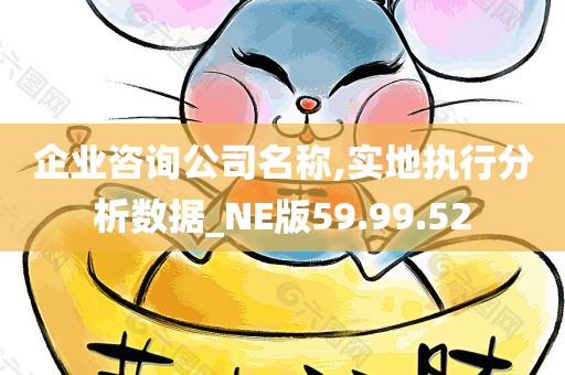 企业咨询公司名称,实地执行分析数据_NE版59.99.52