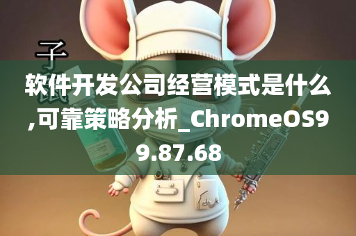 软件开发公司经营模式是什么,可靠策略分析_ChromeOS99.87.68