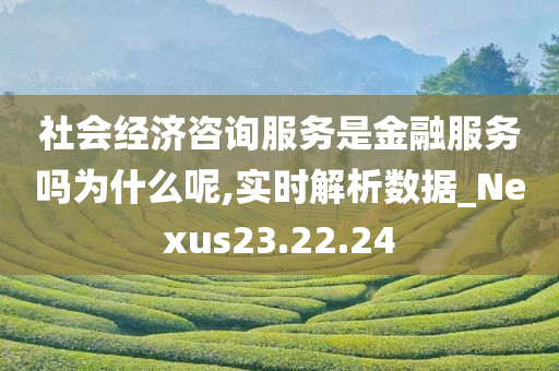 社会经济咨询服务是金融服务吗为什么呢,实时解析数据_Nexus23.22.24