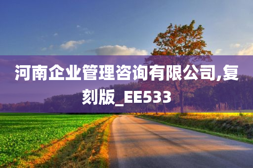 河南企业管理咨询有限公司,复刻版_EE533