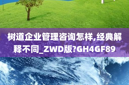 树道企业管理咨询怎样,经典解释不同_ZWD版?GH4GF89