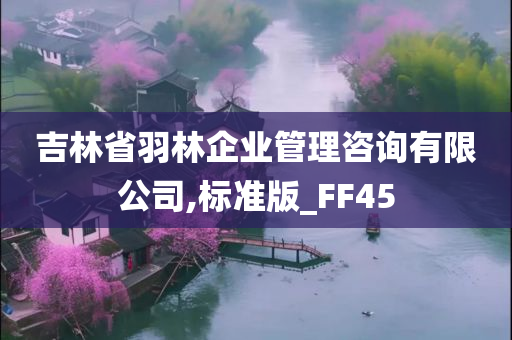 吉林省羽林企业管理咨询有限公司,标准版_FF45