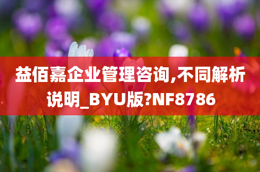 益佰嘉企业管理咨询,不同解析说明_BYU版?NF8786