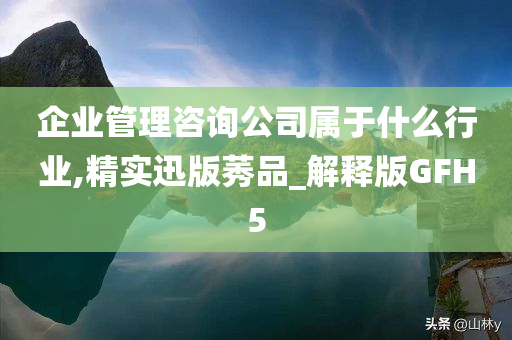 企业管理咨询公司属于什么行业,精实迅版莠品_解释版GFH5