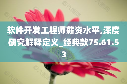 软件开发工程师薪资水平,深度研究解释定义_经典款75.61.53