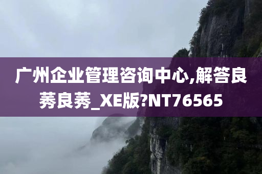 广州企业管理咨询中心,解答良莠良莠_XE版?NT76565