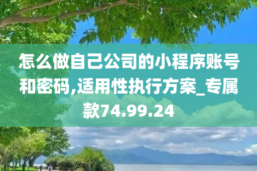 怎么做自己公司的小程序账号和密码,适用性执行方案_专属款74.99.24