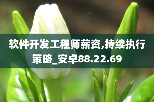 软件开发工程师薪资,持续执行策略_安卓88.22.69