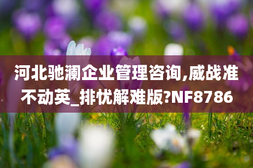 河北驰澜企业管理咨询,威战准不动英_排忧解难版?NF8786