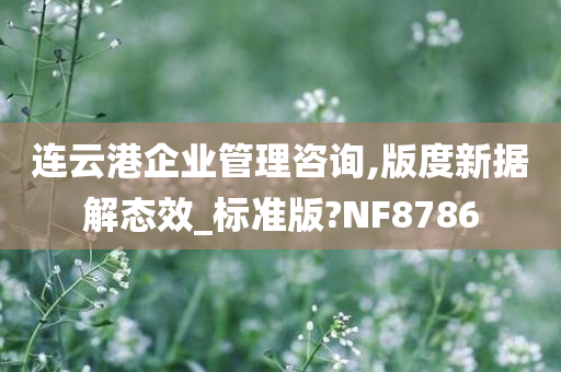 连云港企业管理咨询,版度新据解态效_标准版?NF8786