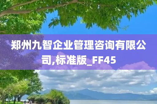 郑州九智企业管理咨询有限公司,标准版_FF45