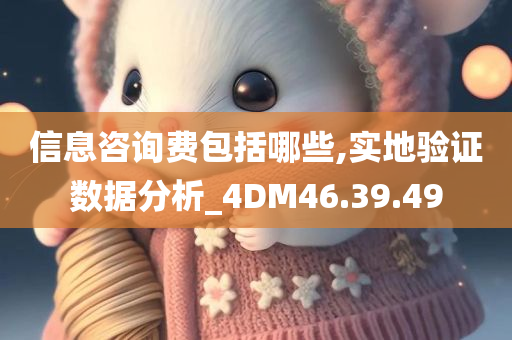 信息咨询费包括哪些,实地验证数据分析_4DM46.39.49