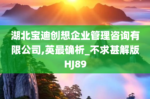 湖北宝迪创想企业管理咨询有限公司,英最确析_不求甚解版HJ89